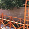 Ahşap Pergola - Görsel 15